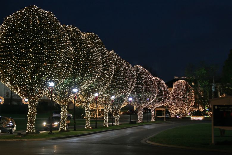 commercial christmas light installation services 007