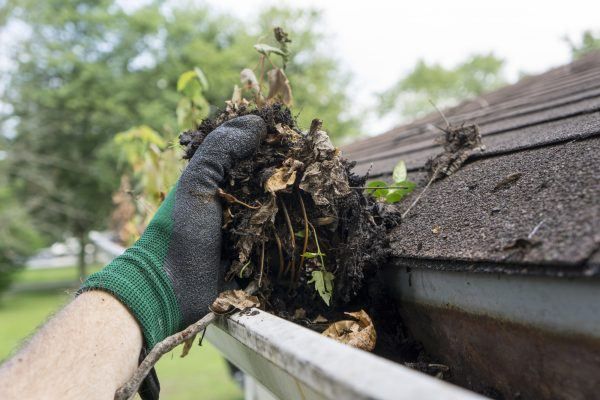 Gutter Cleaning Compeny St. Louis MO 1